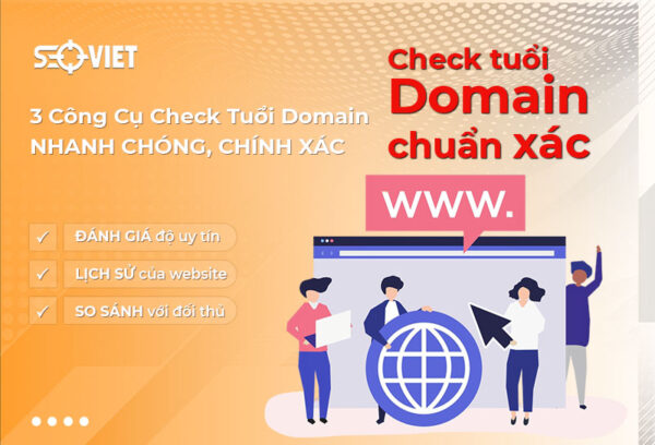 Check tuổi Domain