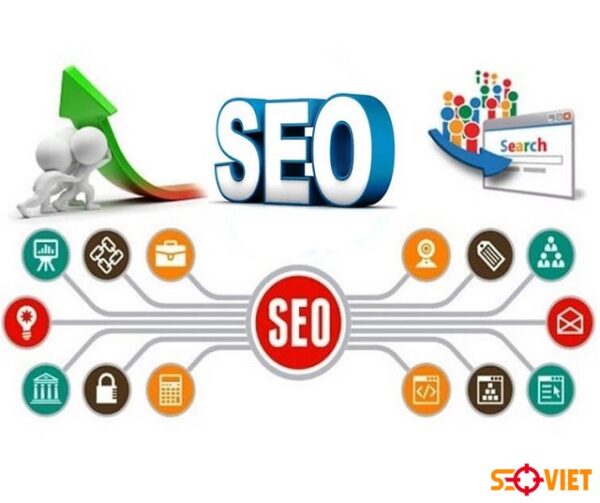 Seo top website