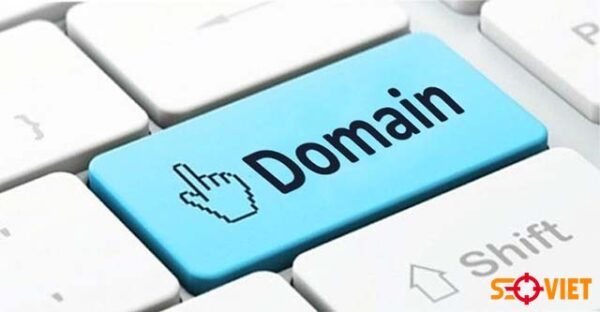 check tuổi domain