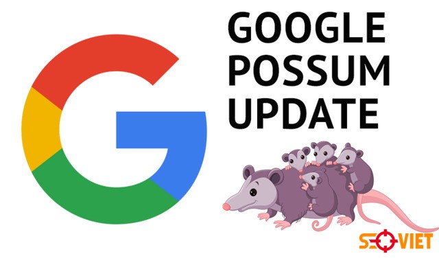 thuật toán google possum