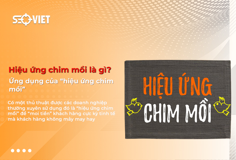 Hiệu ứng chim mồi là gì