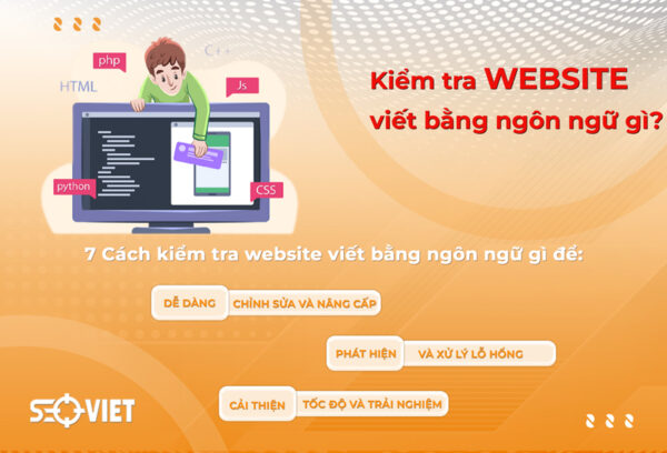 kiem-tra-website-viet-bang-ngon-ngu-gi