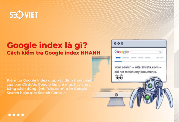 kiem-tra-google-index