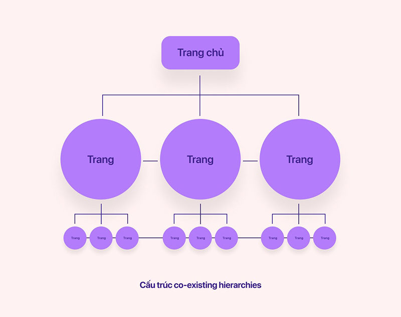 Cấu trúc thông tin rõ ràng