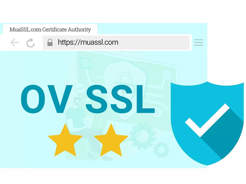 Organization-Validation-OV-SSL