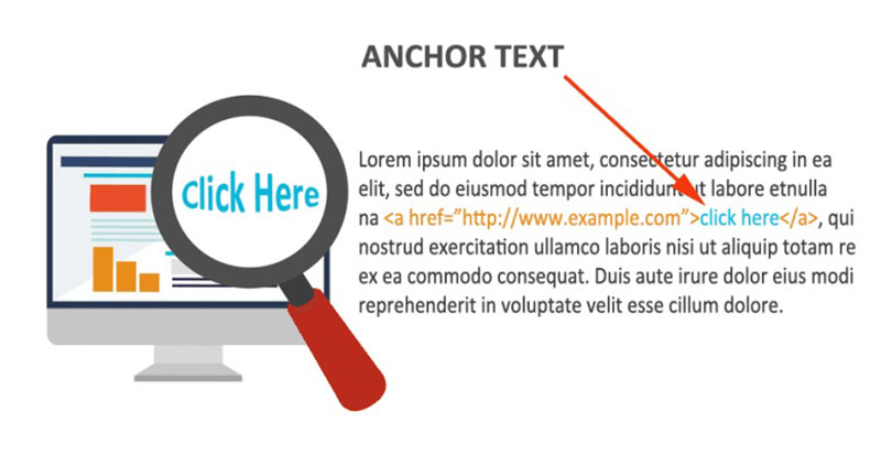 Anchor Text