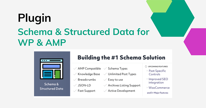 Schema-Structured-Data-for-WP-AMP