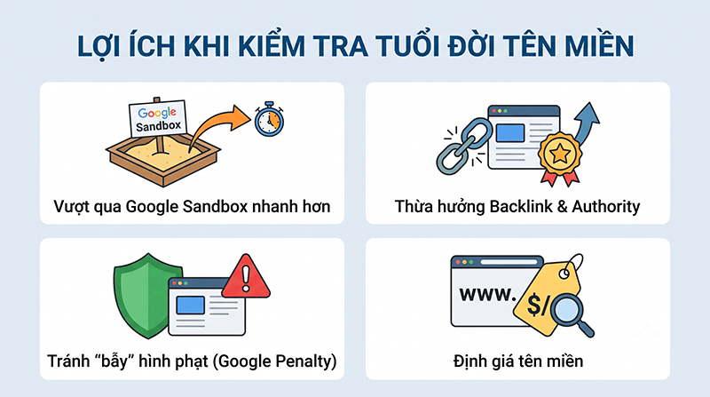 Tai-sao-check-tuoi-doi-ten-mien-lai-quan-trong-trong-SEO