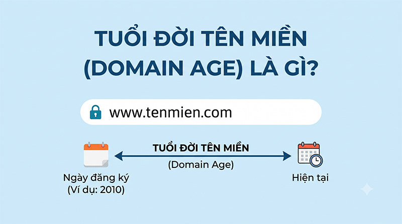 Tuoi-doi-ten-mien-Domain-Age-la-gi-Cau-truc-thong-tin-can-biet