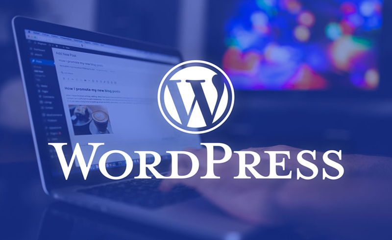 giới thiệu về WordPress