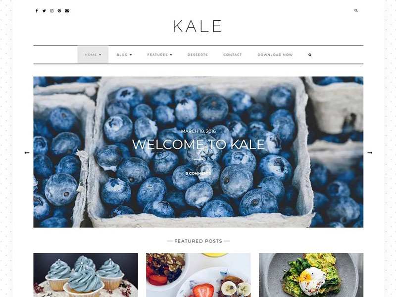 Theme WordPress Kale