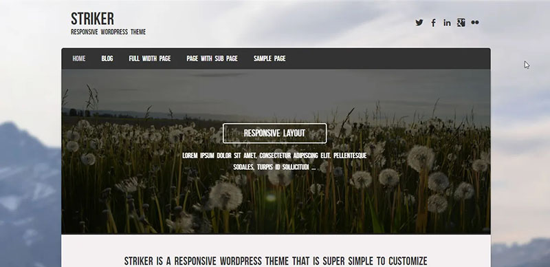 Theme WordPress Striker
