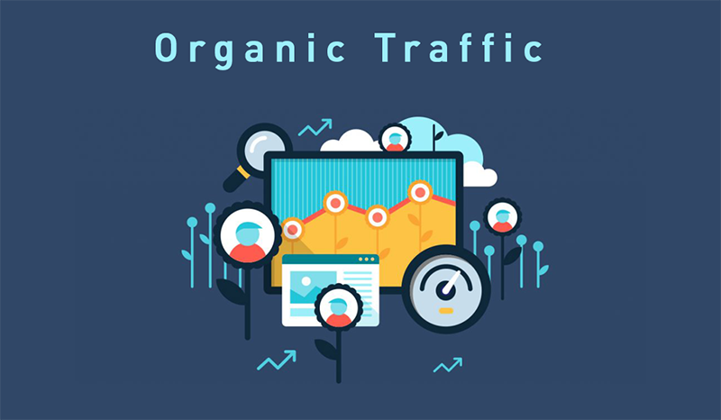 Luu-luong-truy-cap-tu-nhien-Organic-Traffic