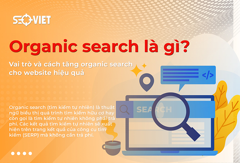 anh-img-Organic-search-la-gi