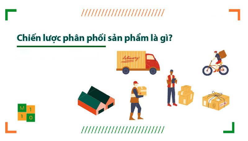 Yếu tố phân phối trong 9P trong marketing