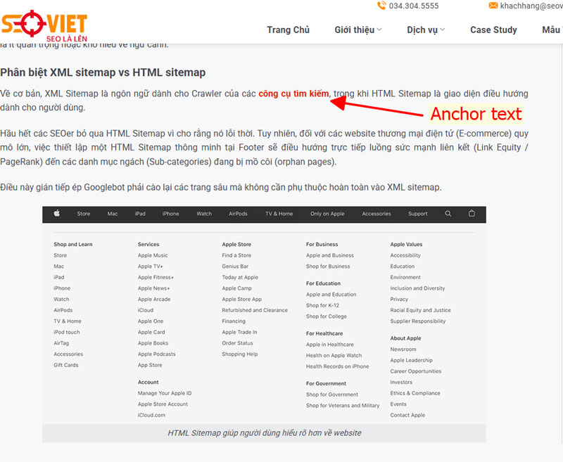 Anchor text được đặt trong bài viết