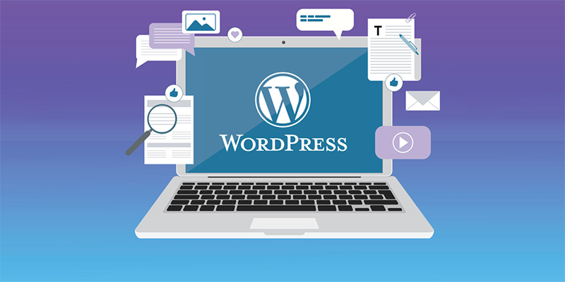 Chon-nen-tang-xay-dung-website