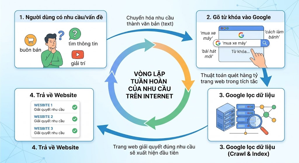 Sơ đồ minh họa vòng lặp tuần hoàn