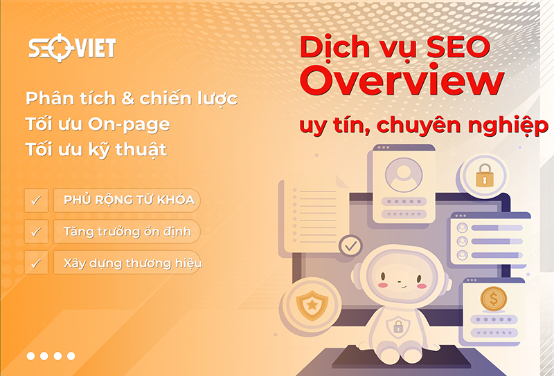 anh-img-dich-vu-seo-overview