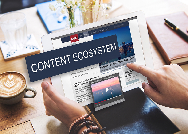 Toi-uu-va-cap-nhat-noi-dung-thuong-xuyen