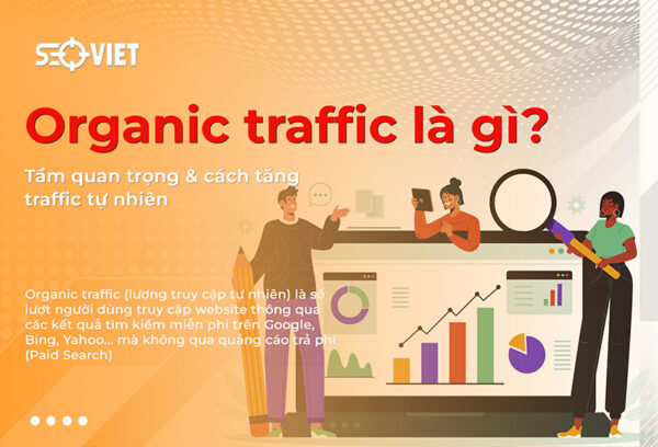 anh-img-Organic-traffic-la-gi
