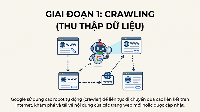 Google search hoạt động thế nào? Giải mã cơ chế crawl index rank 2 Giai-doan-1-Crawling-Thu-thap-du-lieu