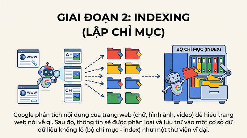 Google search hoạt động thế nào? Giải mã cơ chế crawl index rank 3 Giai-doan-2-Indexing-Lap-chi-muc