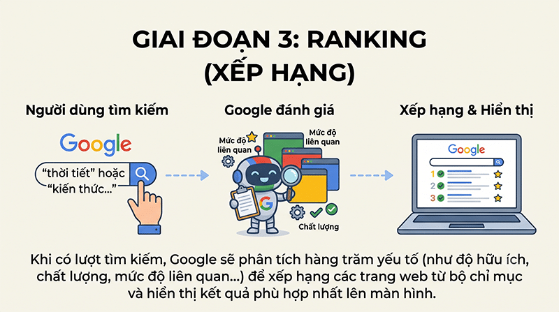Google search hoạt động thế nào? Giải mã cơ chế crawl index rank 4 Giai-doan-3-Ranking-Xep-hang