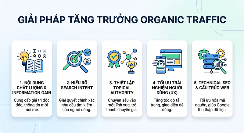 Traffic user là gì? Bản chất, rủi ro, cách tăng traffic bền vững Giai-phap-tang-truong-Organic-Traffic-an-toan-ben-vung