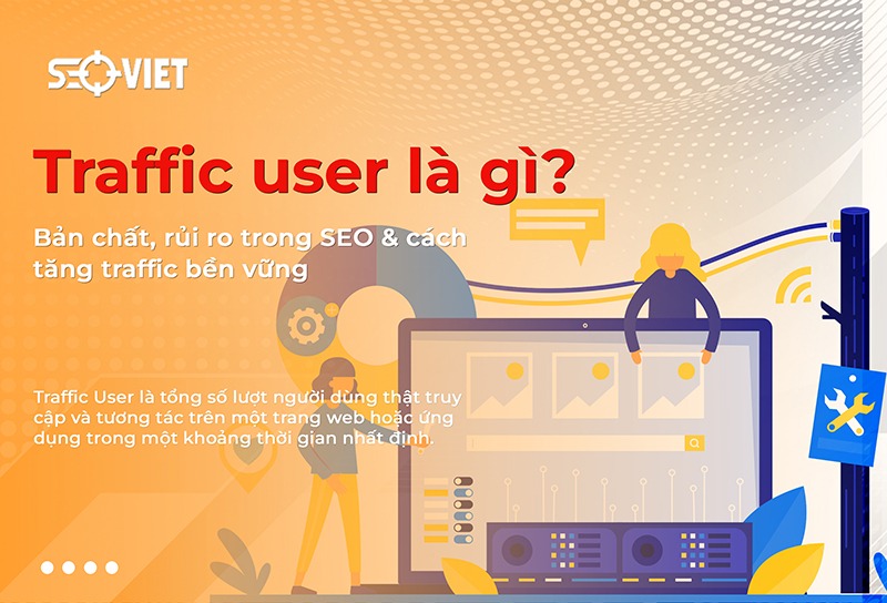 anh-img-traffic-user-la-gi